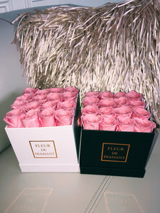 Precious Pink Roses